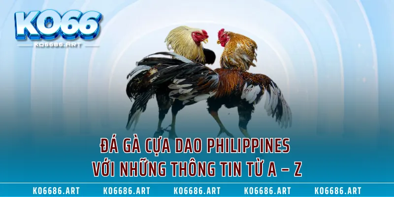 Đá Gà Cựa Dao Philippines Với Những Thông Tin Từ A – Z