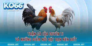 Trận Gà Của Duyên Ti Và Những Điểm Nổi Bật Bạn Nên Biết