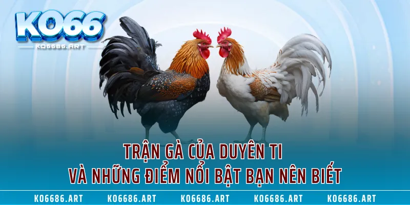Trận Gà Của Duyên Ti Và Những Điểm Nổi Bật Bạn Nên Biết